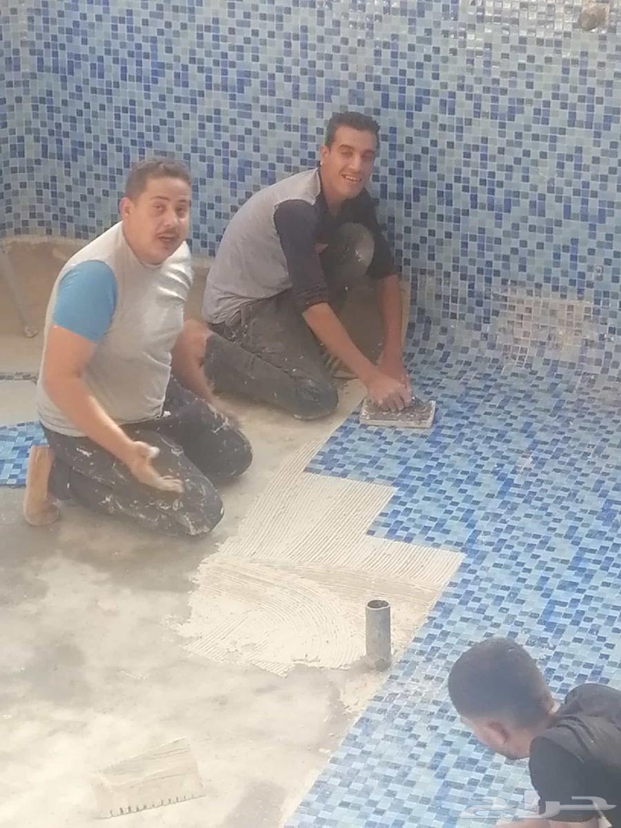 مبلط خميس مشيط وأبها64572769938049110