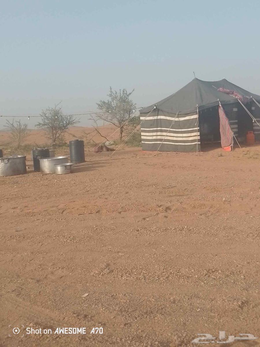 A cook for small and large events64563422477058114