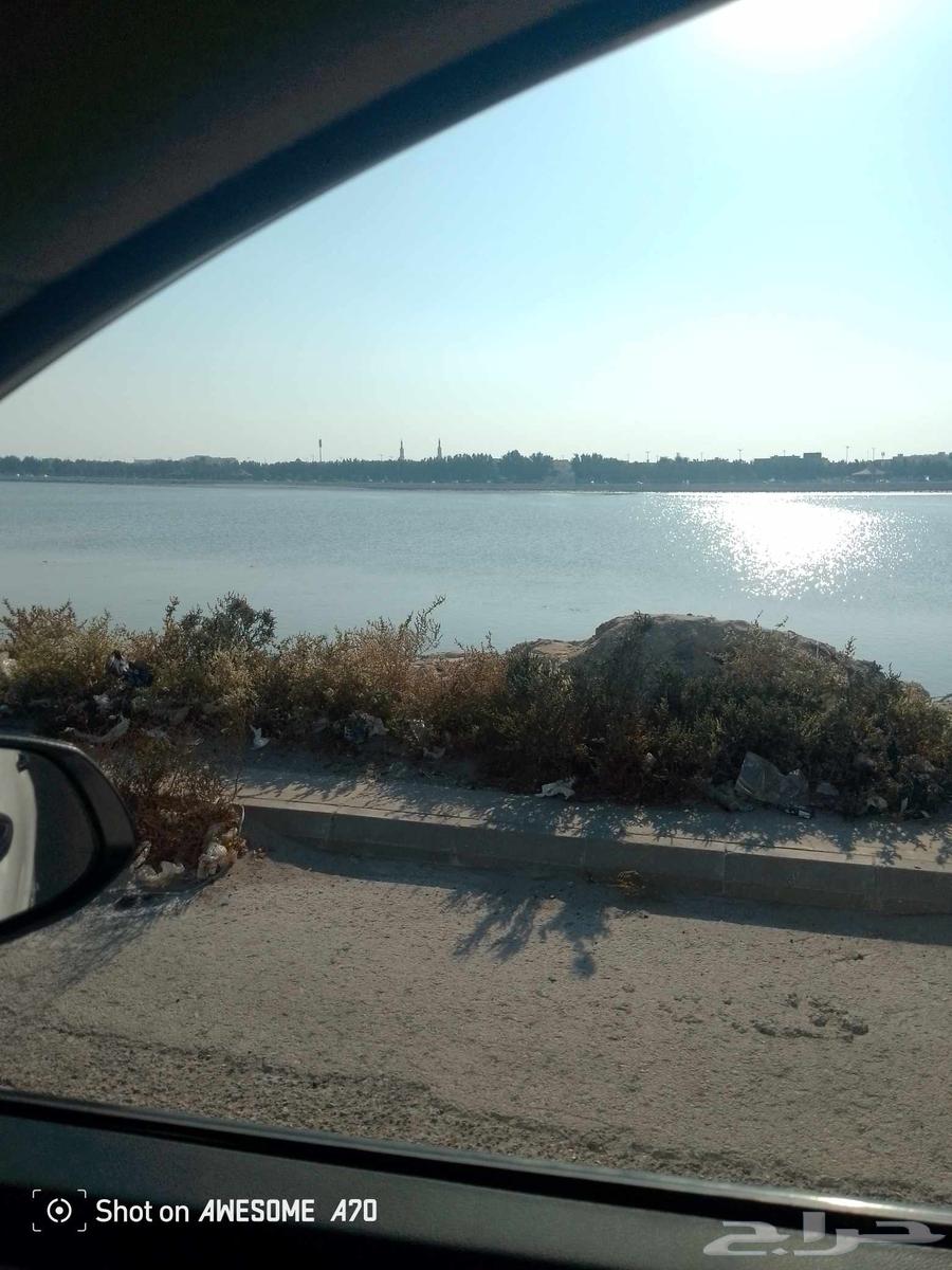 توصيل طلبات من الدمام الى الرياض ابومشعل64563375697155110