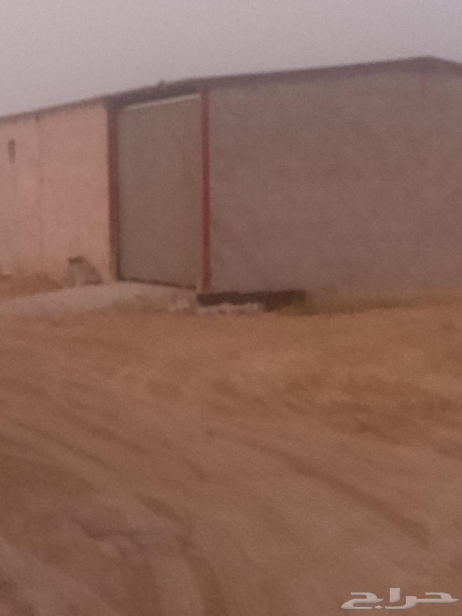 مقاول بيوت شعبيه64572736715778112