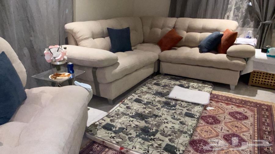 Sofa Preference64572769953795110