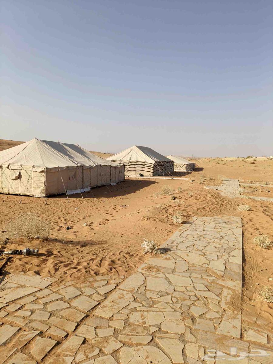 Installation and dismantling of land camps, royal and regular tents64563437442179113