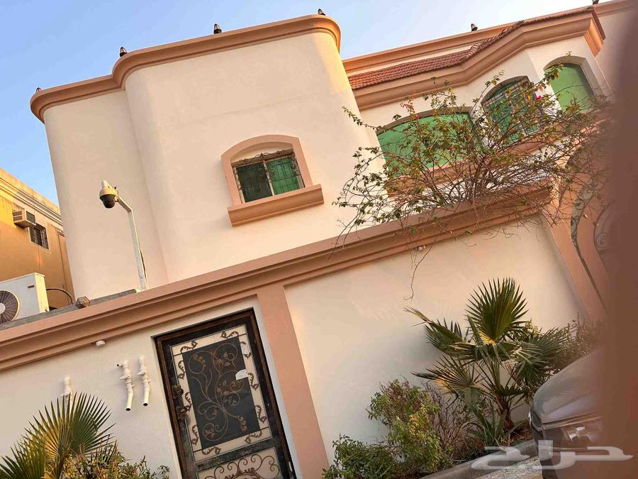 دهان داخلي خارجي عازل سطخ ديكور رويال فلفيت64572785760257114