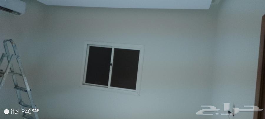 معلم دهانات بتبوك64572835055361112