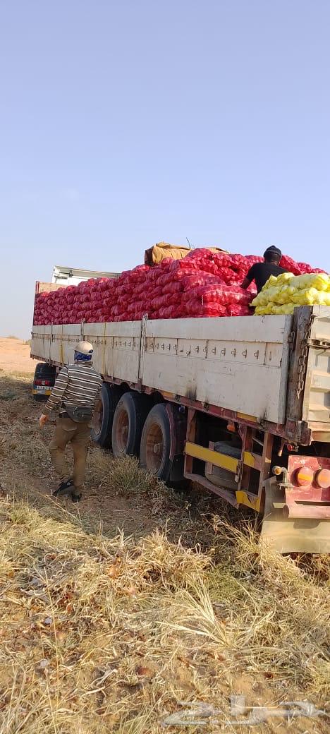 لليجار تريله سطحه جوانب64563359281027110