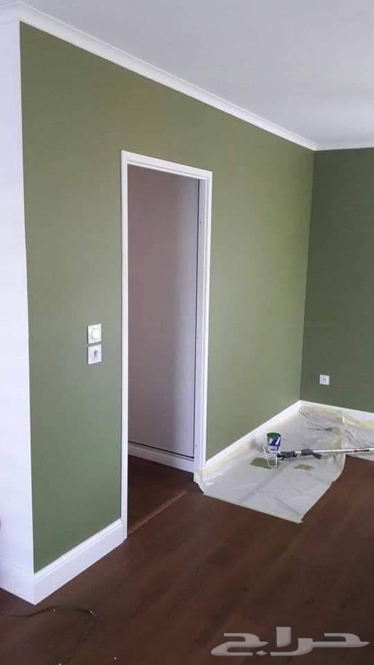 معلم دهانات وبويه المدينة المنورة64563437185921113