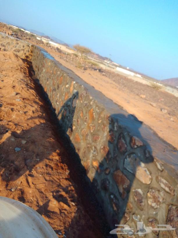 Teacher Benyan bil-Hijr Rbrab corridors tanks random tiles braid crooked64572834684929111