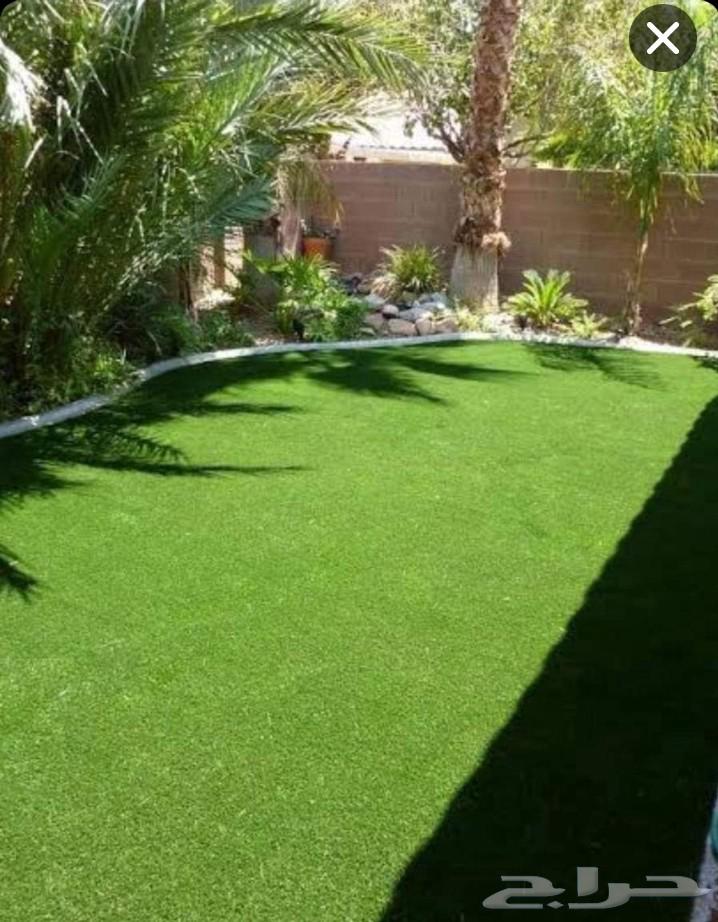 تنسيق حدائق ابوعبدالعزيز الصعيدي للتيل سي 2000فرنساوي درجه64572834636930111