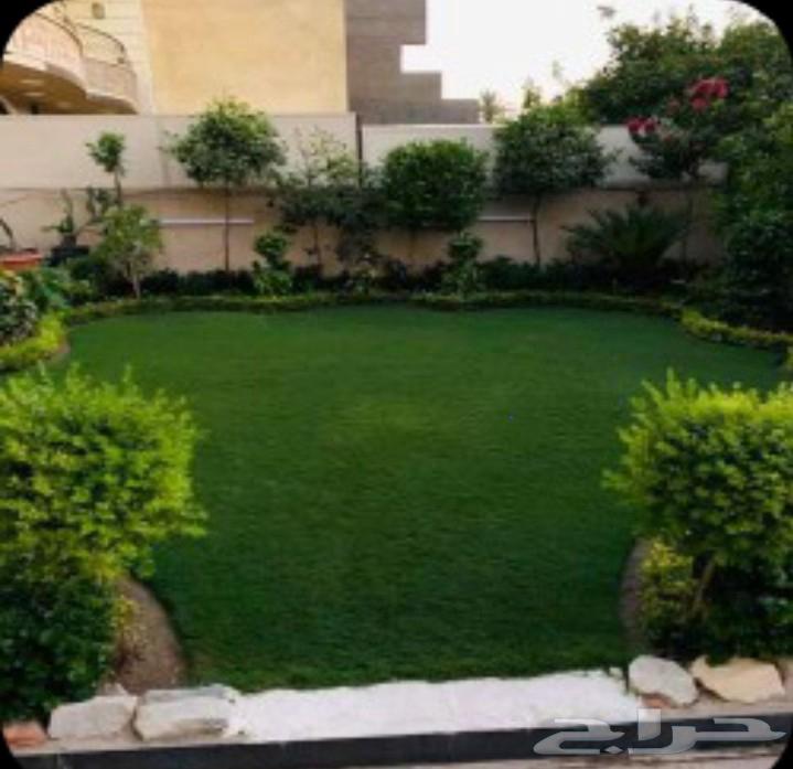 تنسيق حدائق ابوعبدالعزيز الصعيدي للتيل سي 2000فرنساوي درجه64572834636930112