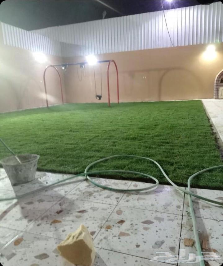 تنسيق حدائق ابوعبدالعزيز الصعيدي للتيل سي 2000فرنساوي درجه64572834636930113