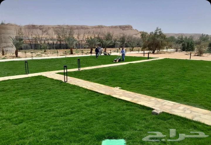 تنسيق حدائق ابوعبدالعزيز الصعيدي للتيل سي 2000فرنساوي درجه64572834636930114