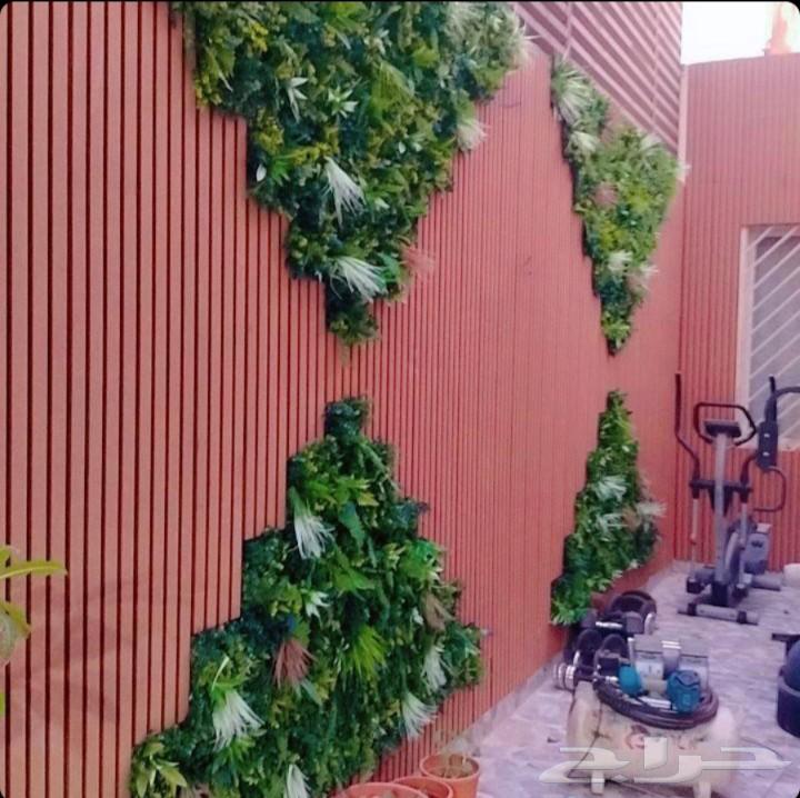 فن تنسيق وتصميم الحديق64572868583041112