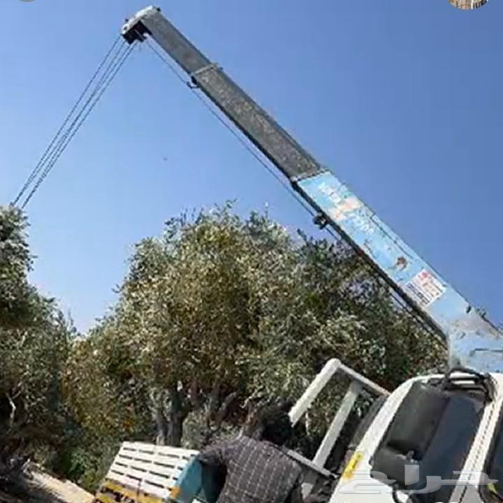 دينه مشوير الدمام الحساء الجبيل64572818772611110