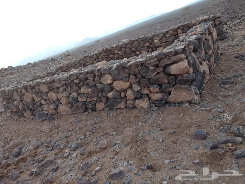 Teacher Benyan bil-Hijr Rbrab corridors tanks random tiles braid crooked64572834684929110