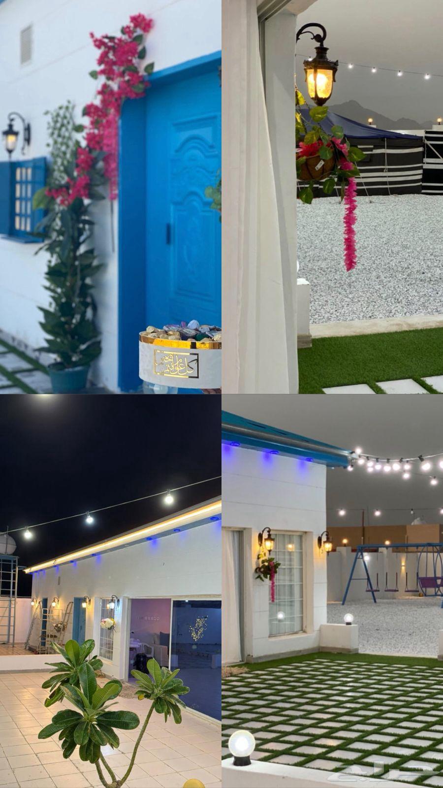 Cruise lounge, one large and excellent section with competitive prices64563218929538110