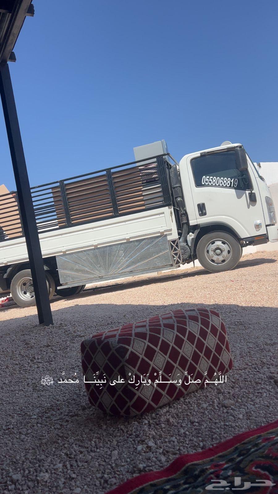 دينا دينه مشوار توصيل طلبات64563407132545110