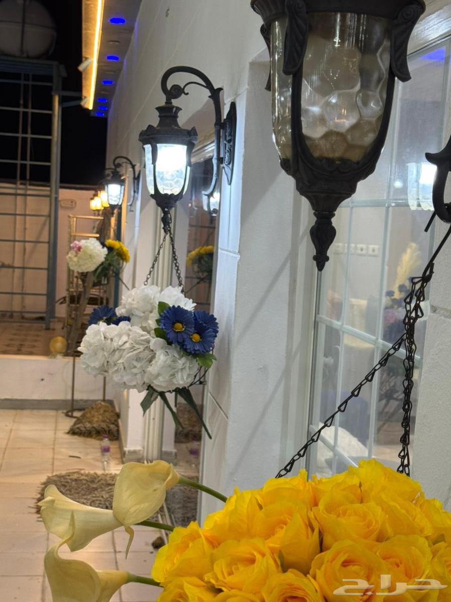 Cruise lounge, one large and excellent section with competitive prices64563218929538114