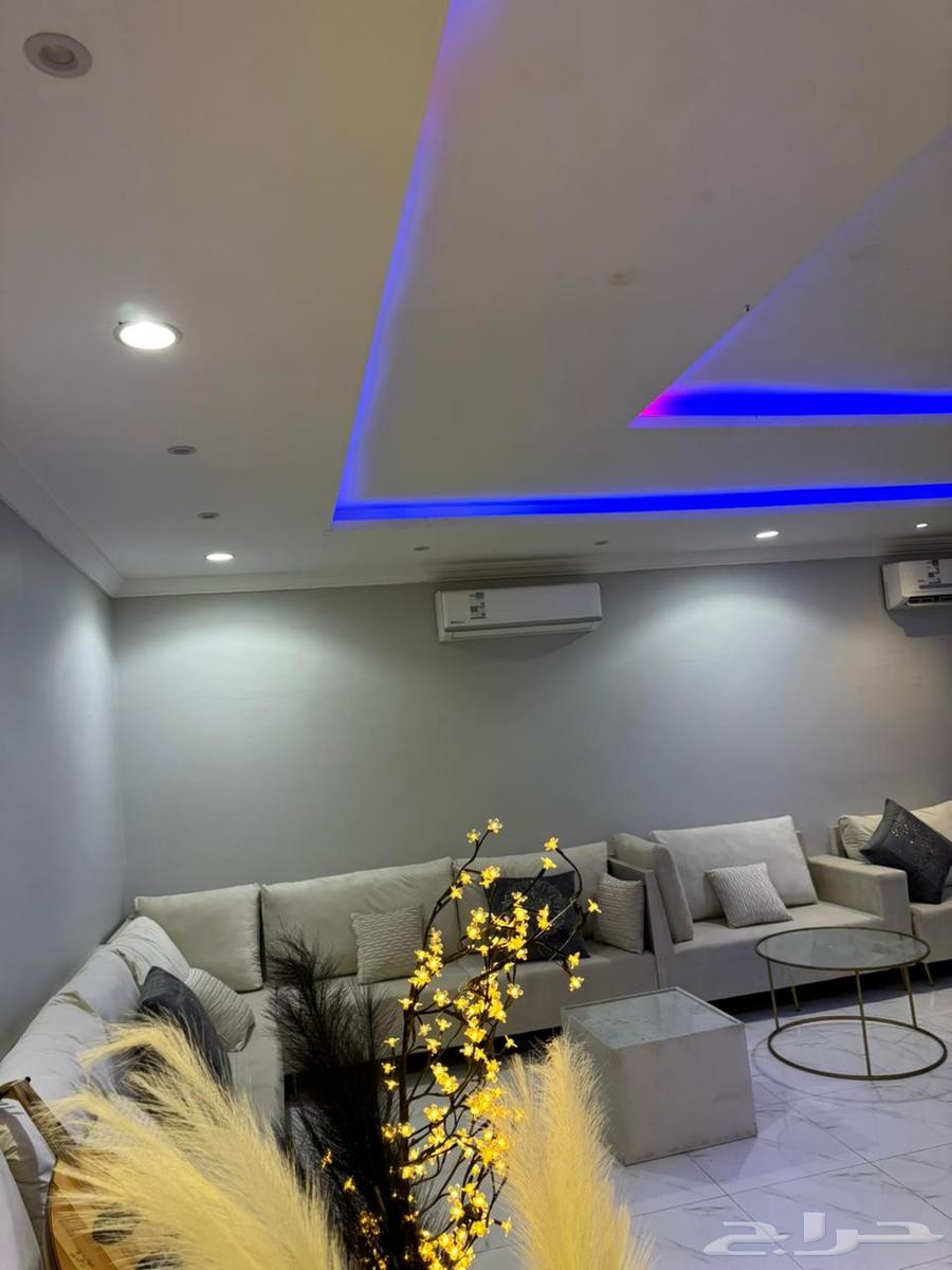 Cruise lounge, one large and excellent section with competitive prices64563218929538112