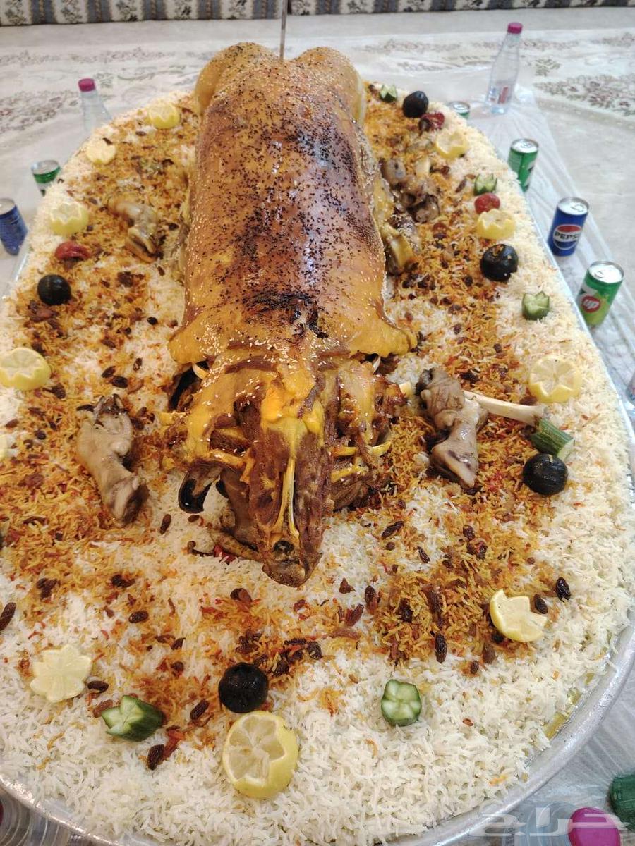 طباخ متنقل مع الموعين64572769594883114