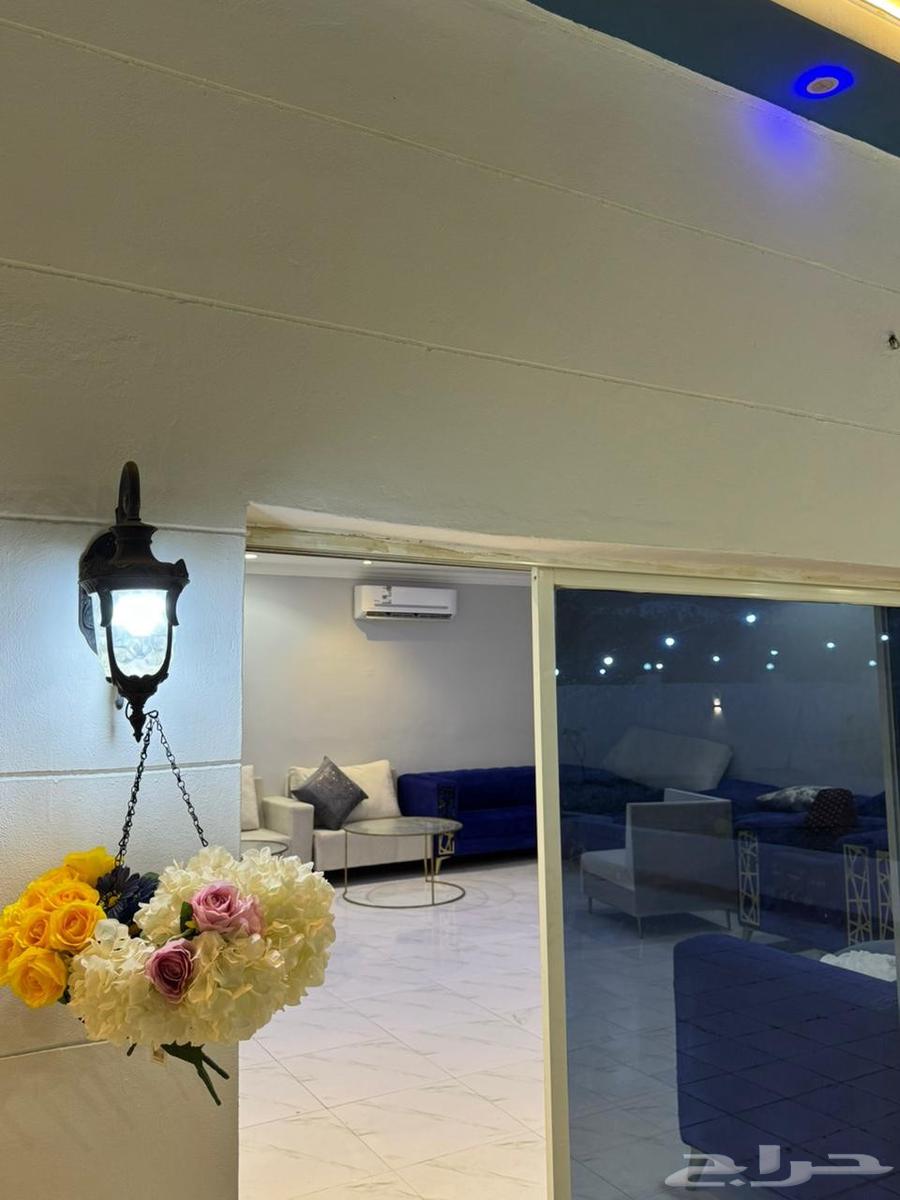 Cruise lounge, one large and excellent section with competitive prices64563218929538113