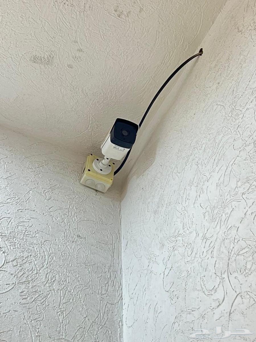 للإيجار شقة مفروشة غرفة وصالة بالهفوف64563234508546114