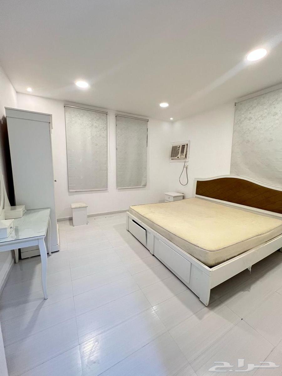 للإيجار شقة مفروشة غرفة وصالة بالهفوف64563234508546112