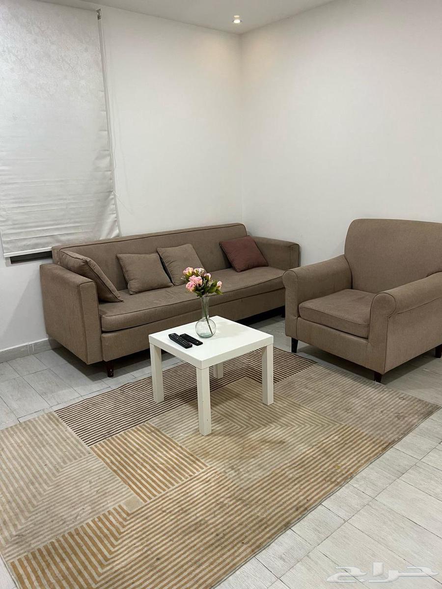 للإيجار شقة مفروشة غرفة وصالة بالهفوف64563234508546111