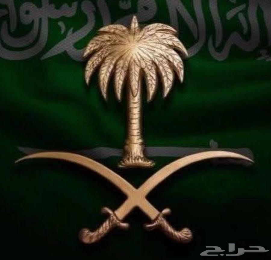 Reinforced carpenter working daily, hammering nails and measuring by meter64572899994625110