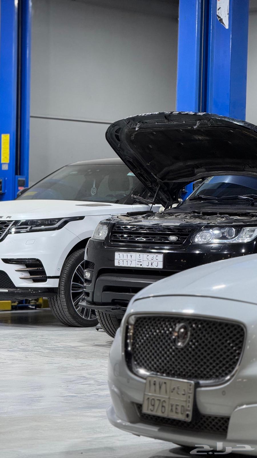 شركة الأوتاد الرافدة الدولية64572966679937114