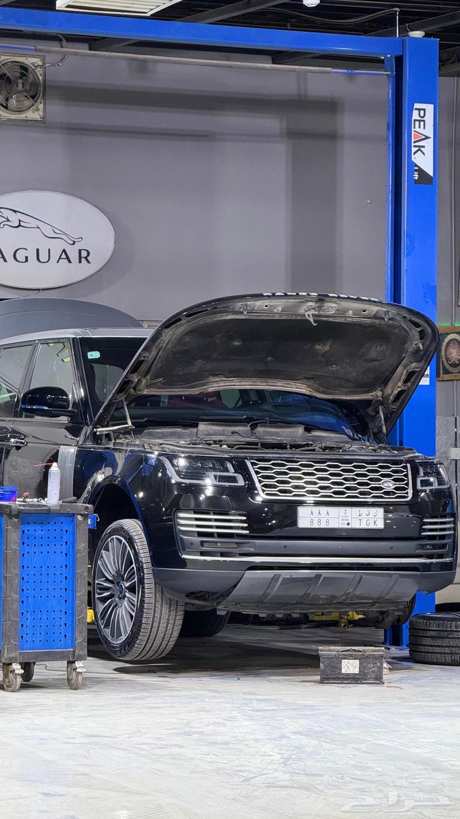 شركة الأوتاد الرافدة الدولية64572966679937111