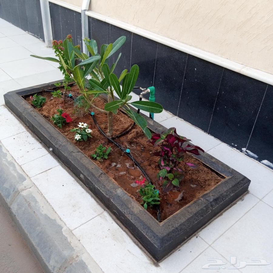 محمد الصعيدى للمقاولات وتصميم وانشاء الحدائق وتنسيق المزارع64582580434179113