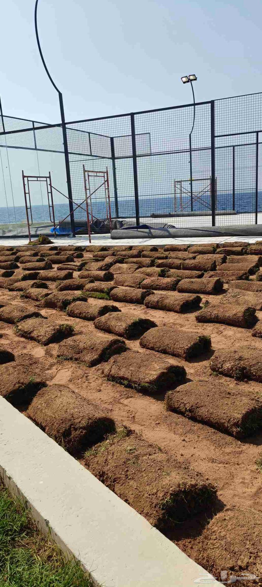 Supply and installation of football fields, artificial grass gardens, and rubber flooring64582388681986112