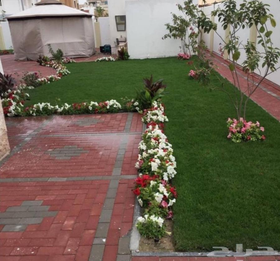 تنسيق الحدائق الطبيعي64582438629634110