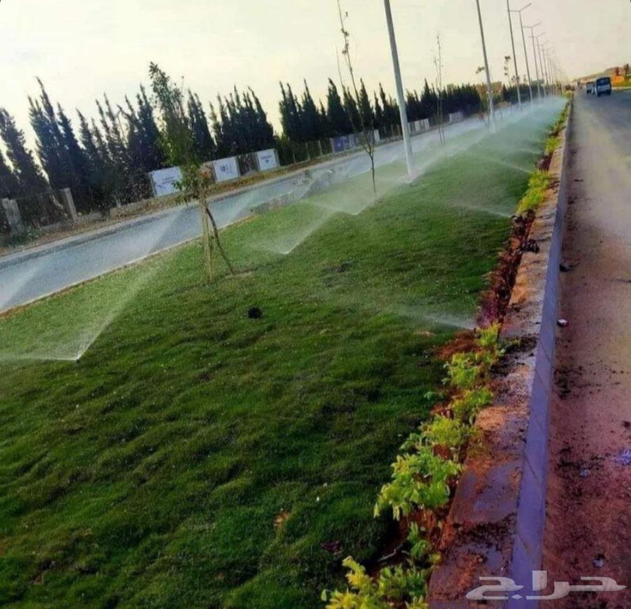 تنسيق الحدائق الطبيعي64582438629634113