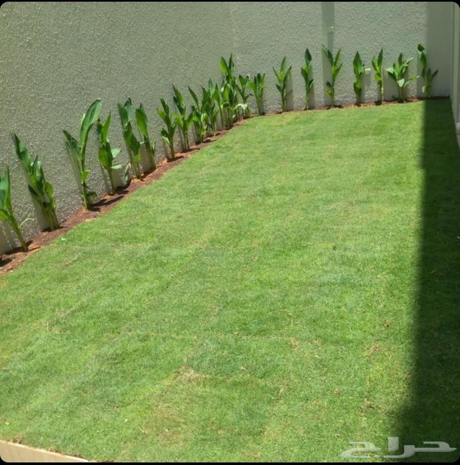 تنسيق الحدائق الطبيعي64582438629634114