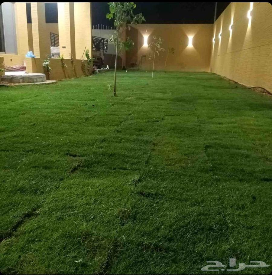 تنسيق الحدائق الطبيعي64582438629634112