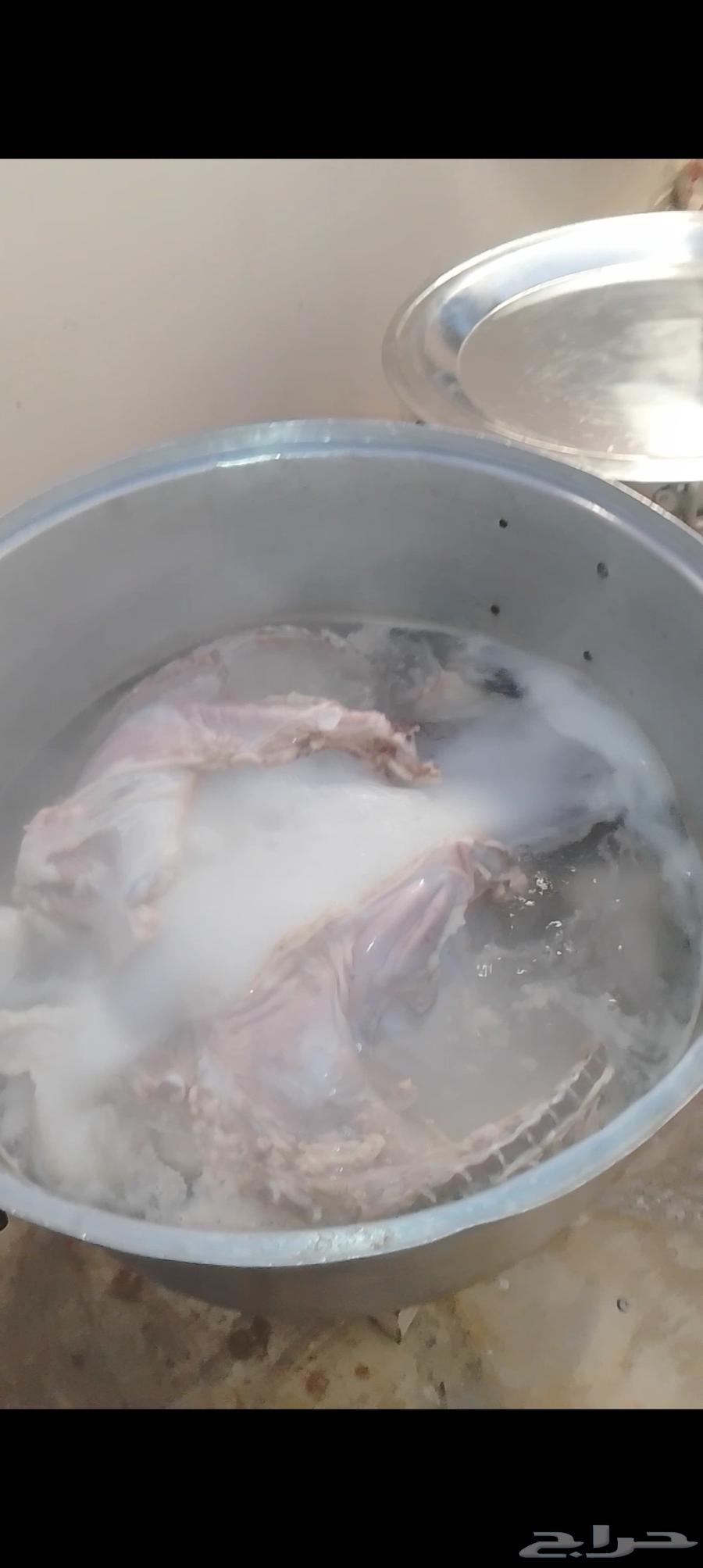 طباخ ذبايح وحشوان متنقل مع جميع اغراض الطبخ ابو مشعل الرياض64572917409538111