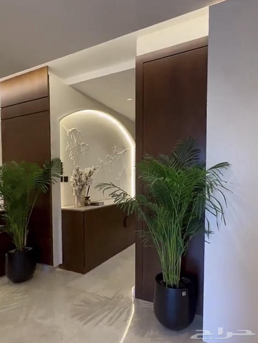 Detailing decorative buffet tables, entrances, room decorations, etc. .. for contact64582518413570111