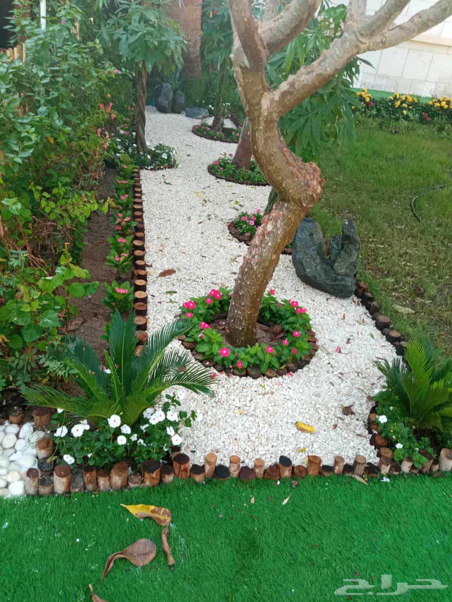 السلام عليكم تنسيق حدائق شامله جميع انواع الديزينات أحواض زر64582372596225112