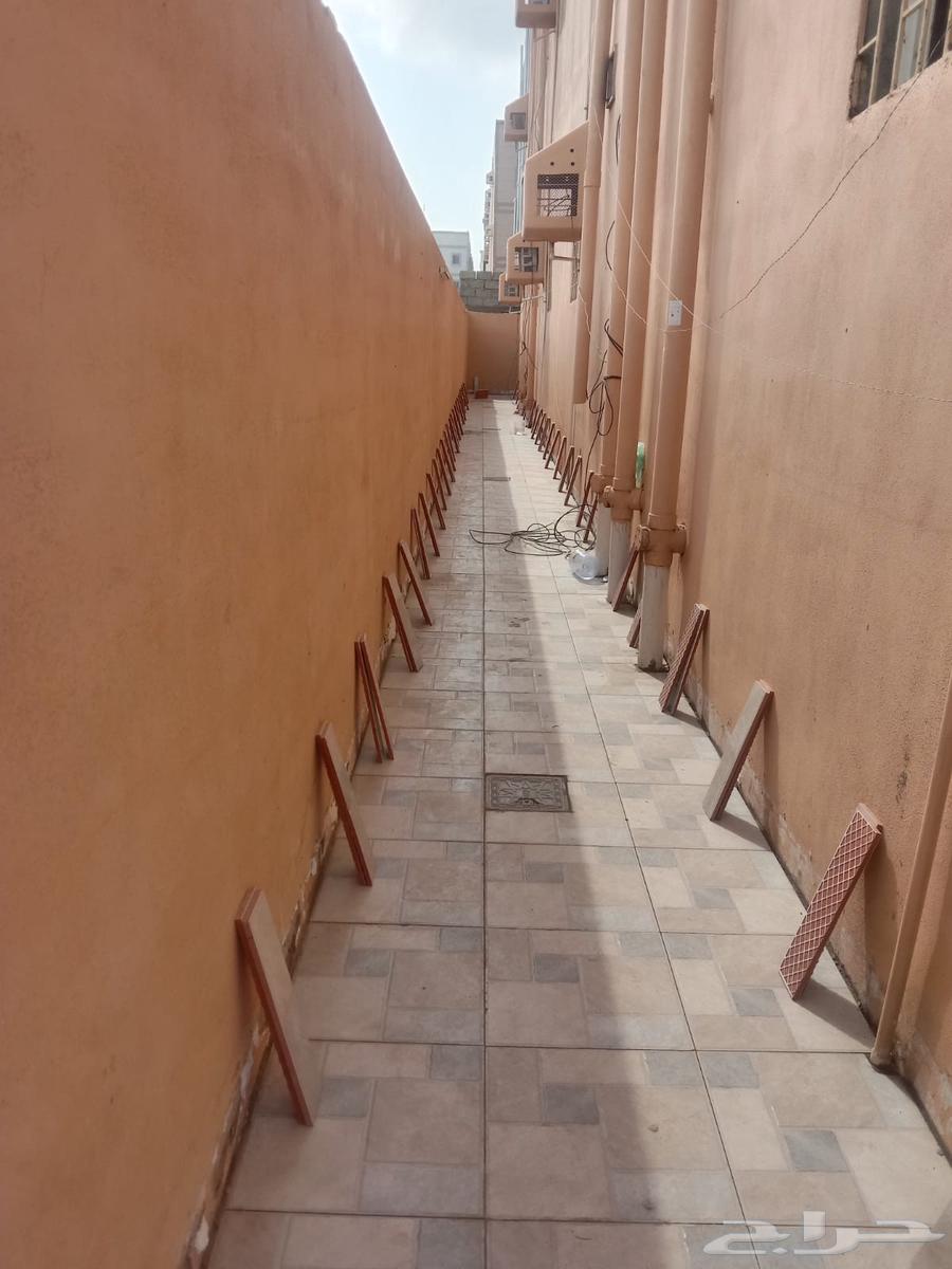 مبلط لجميع أنواع البلاط والرخام وبديل الرخام وترميمات وسباكه64582405887106113