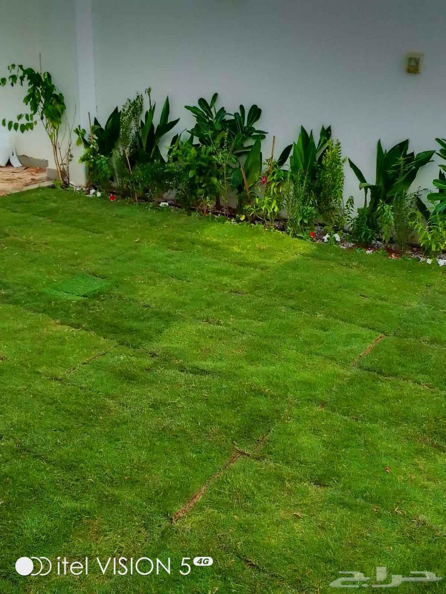 تنسيق حدائق بنواعها64572950710146113