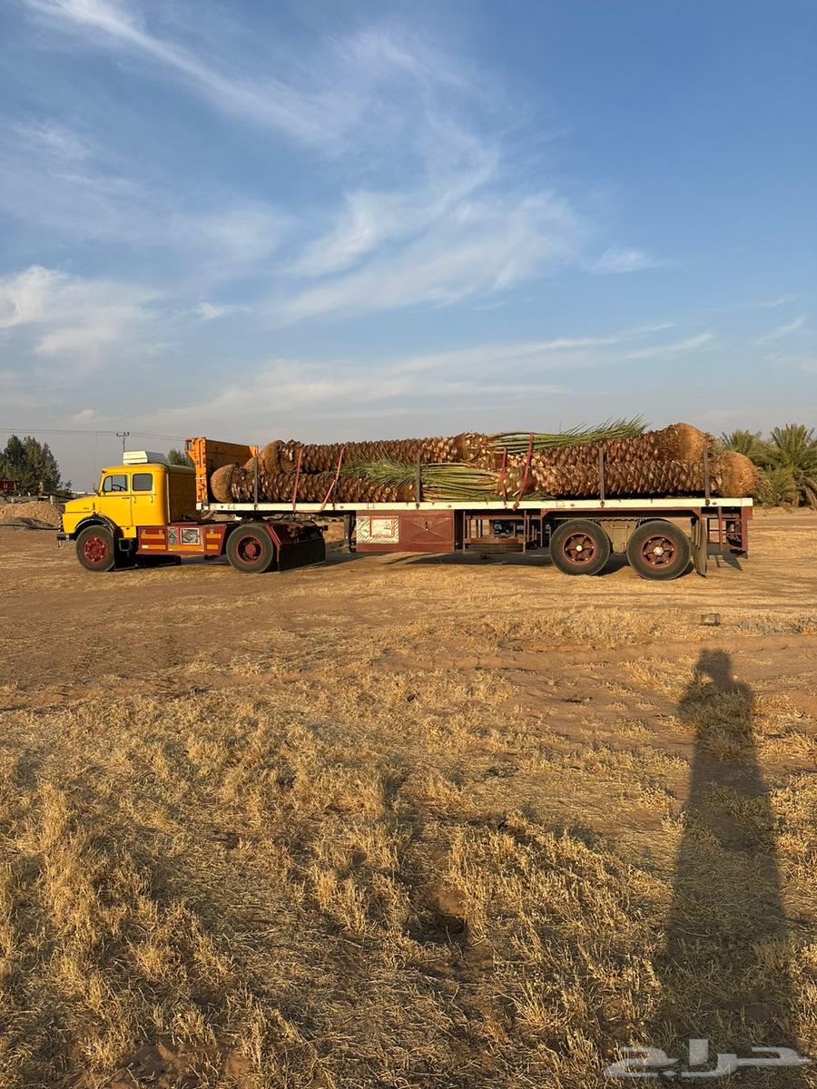 Flatbed trailer in Buraydah for transporting iron, sand, feed, and tiles64572965438337113