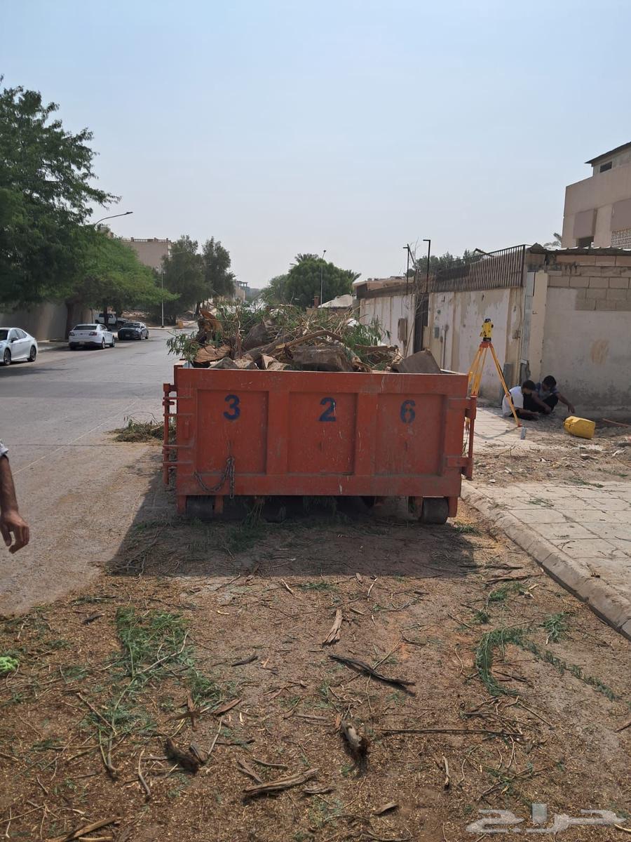 قشع نخل غرس نخل جث نخل أزاله شجر رافعه نقل64589463144834113