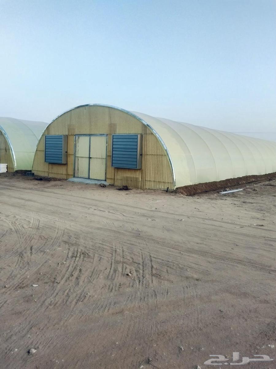 Engineer for installing insulated and non-insulated greenhouses64582501784449113