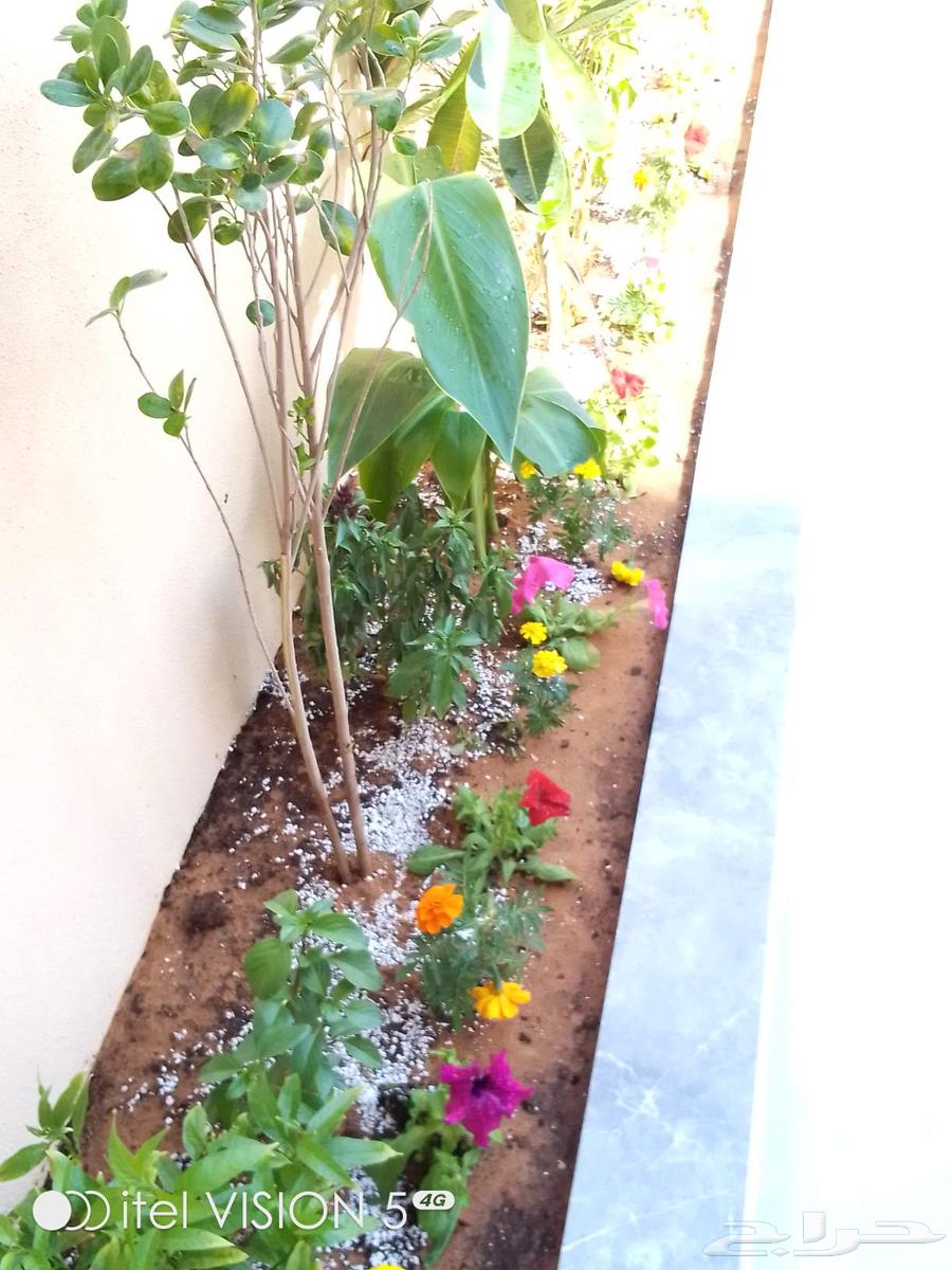 تنسيق حدائق بنواعها64572950710146111