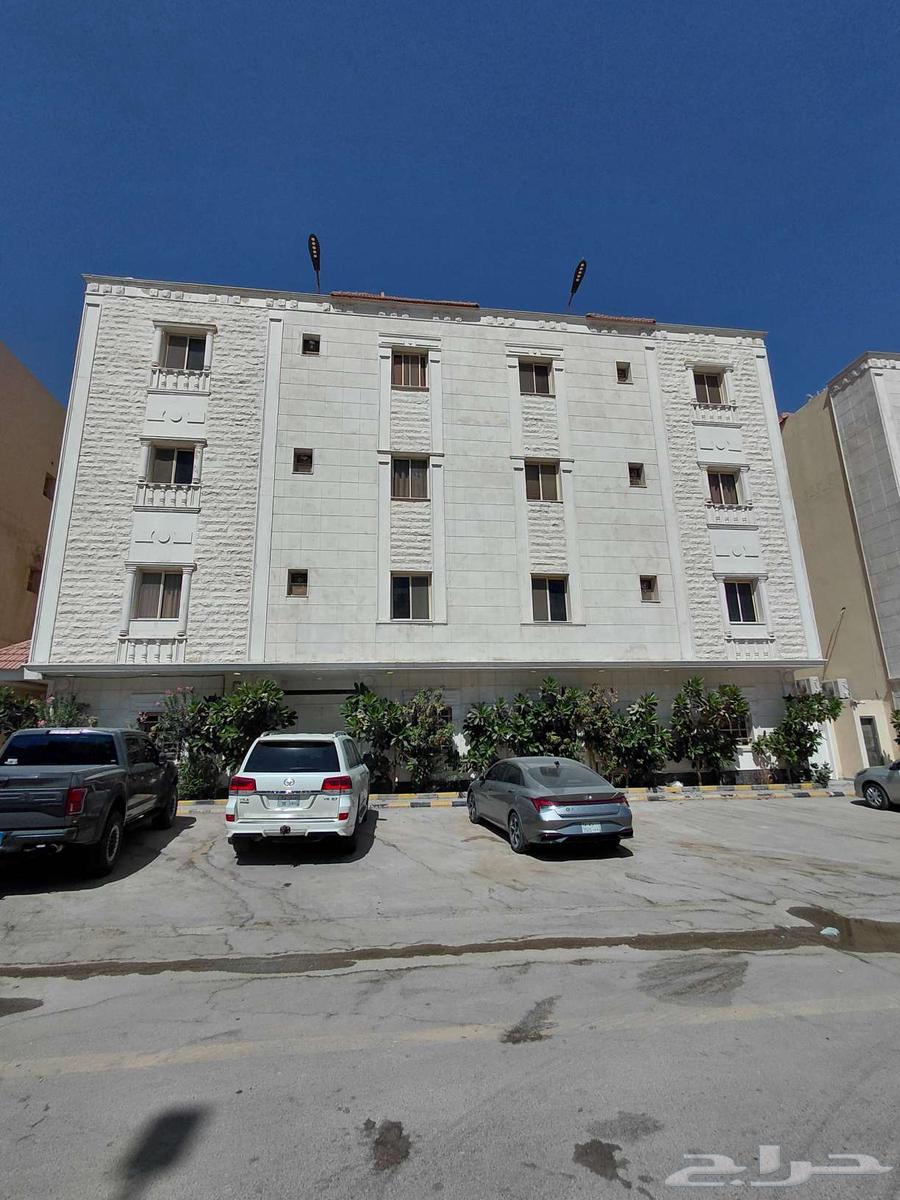 شقة للإيجار