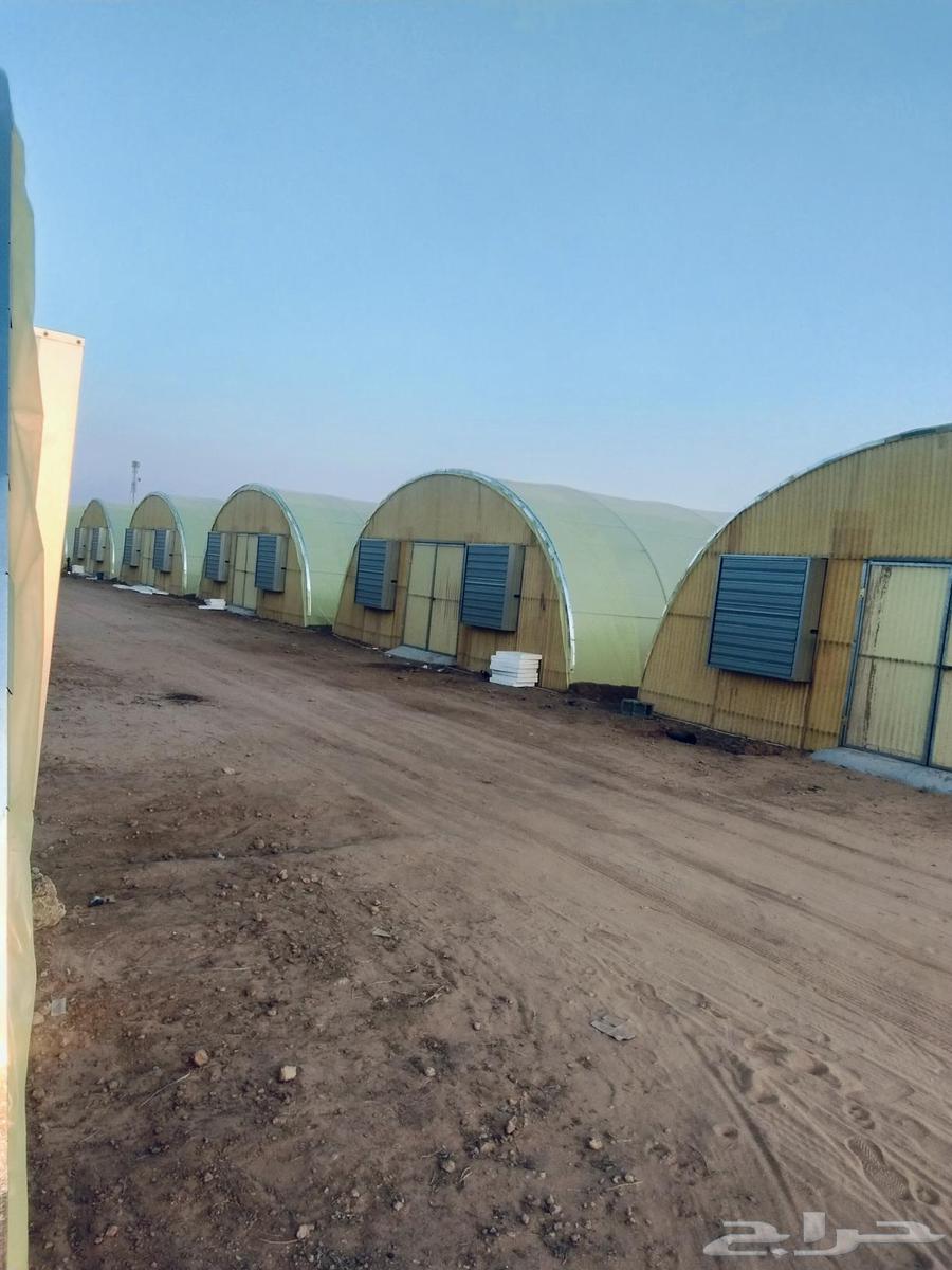 Engineer for installing insulated and non-insulated greenhouses64582501784449110