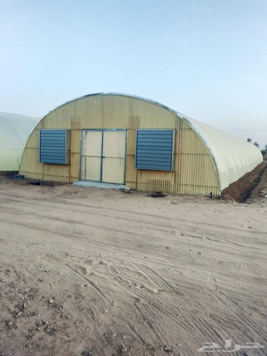 Engineer for installing insulated and non-insulated greenhouses64582501784449111