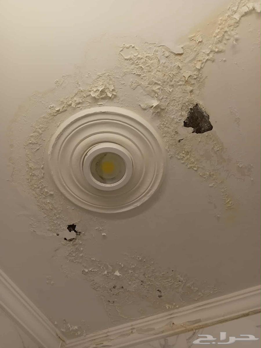 كشف تسربات المياه اصلاح كشف تسريبات المياه كشف اسباب الرطوبه64572966515330113