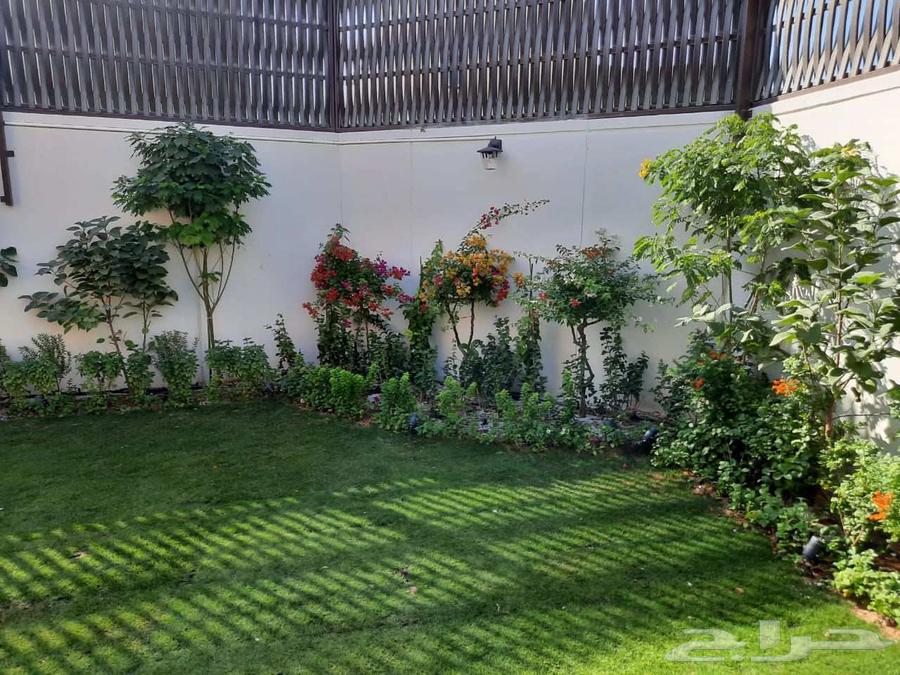 Landscaping and installation of all types of irrigation networks and artificial grass, as well as palm tree treatment64582469962753111